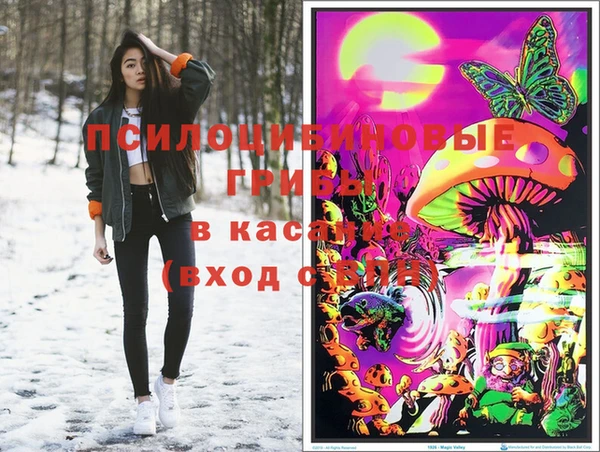 прущая мука Аркадак